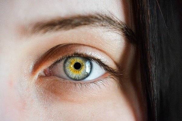Couleurs Des Yeux Et Heredite Comment Ca Fonctionne Eyes Road Une Autre Vision De L Edi Couleurs Des Yeux Et Heredite Comment Ca Fonctionne Eyes Road Une Autre Vision De L Edi