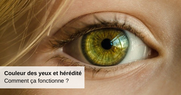 Couleurs des yeux et hérédité : Comment ça fonctionne ?