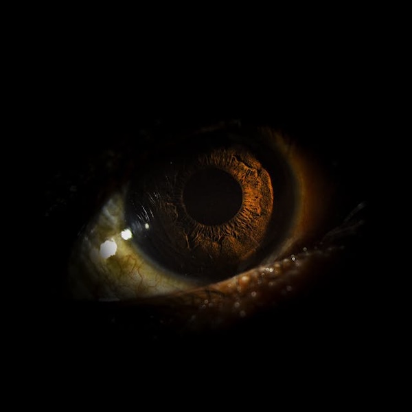 œil marron dans l’obscurité